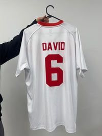 Load image into Gallery viewer, Personalised St George Dragons NRL Jersey
