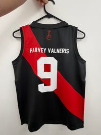 Load image into Gallery viewer, Personalised Essendon Bombers AFL Guernsey
