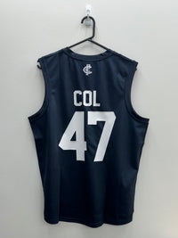 Load image into Gallery viewer, Personalised Carlton Blues AFL Guernsey
