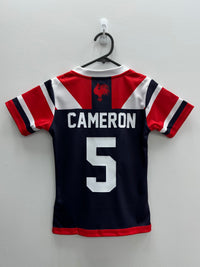 Load image into Gallery viewer, Personalised Sydney Roosters NRL Jersey
