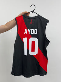 Load image into Gallery viewer, Personalised Essendon Bombers AFL Guernsey
