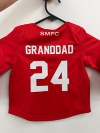 Load image into Gallery viewer, Personalised Sydney Swans AFL Toddler Guernsey
