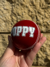 Load image into Gallery viewer, Personalised Red Cricket Ball
