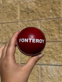 Load image into Gallery viewer, Personalised Red Cricket Ball
