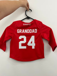 Load image into Gallery viewer, Personalised Sydney Swans AFL Toddler Guernsey
