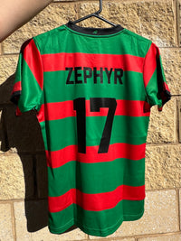 Load image into Gallery viewer, Personalised South Sydney Rabbitohs NRL Jersey
