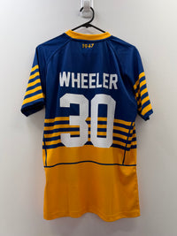 Load image into Gallery viewer, Personalised Parramatta Eels NRL Jersey
