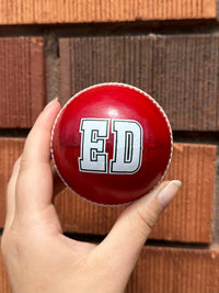 Load image into Gallery viewer, Personalised Red Cricket Ball
