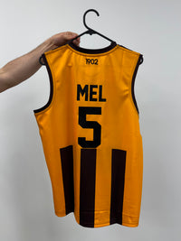 Load image into Gallery viewer, Personalised Hawthorn Hawks AFL Guernsey
