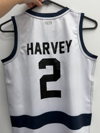 Load image into Gallery viewer, Personalised Geelong Cats AFL Guernsey
