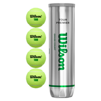 Load image into Gallery viewer, Personalised Wilson Tennis Balls (4 Pack)
