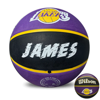 Load image into Gallery viewer, Personalised NBA Official LA Lakers Team Basketball (SIZE 7)
