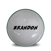 Load image into Gallery viewer, Personalised White Cricket Ball
