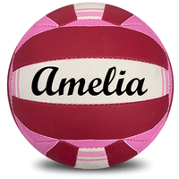 Load image into Gallery viewer, Personalised Mi-Ball Envision Pink Netball (SIZE 5)
