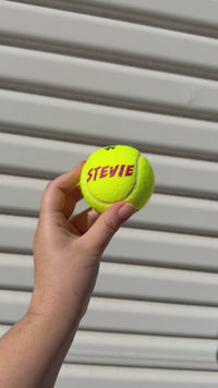 Load and play video in Gallery viewer, Personalised Wilson Padel Balls (3 Pack)
