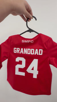 Load and play video in Gallery viewer, Personalised Sydney Swans AFL Toddler Guernsey
