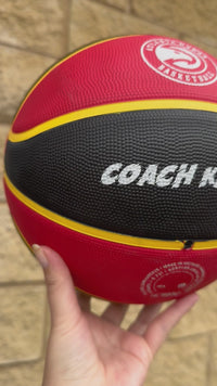 Load and play video in Gallery viewer, Personalised NBA Official Atlanta Hawks Team Basketball (SIZE 7)
