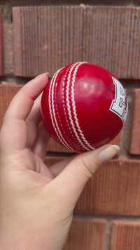 Load and play video in Gallery viewer, Personalised Red Cricket Ball
