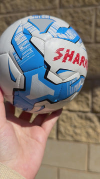 Load and play video in Gallery viewer, Mini Personalised Mi-Ball Blue Soccer Ball (Mini Size)
