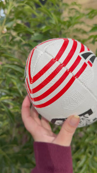 Load and play video in Gallery viewer, Personalised St George Dragons Official NRL Ball (11inch mini ball)
