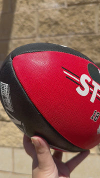 Load and play video in Gallery viewer, Personalised AFL Official St Kilda FC Saints Club Football (Size 5)
