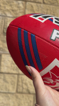 Load and play video in Gallery viewer, Personalised Sydney Roosters Official NRL Ball (Size 5)
