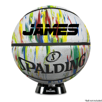 Load image into Gallery viewer, Spalding Ball Stand
